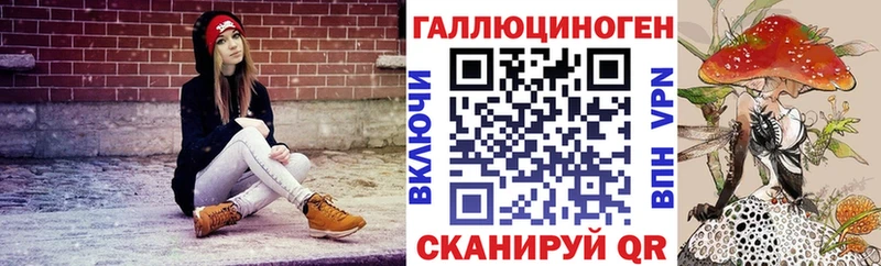где купить наркотик  Заозёрск  OMG зеркало  Псилоцибиновые грибы мицелий 
